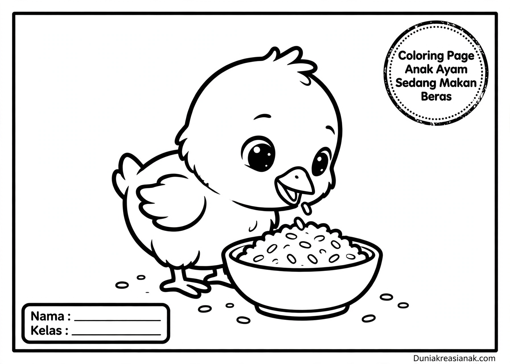 Coloring Page Anak Ayam Sedang Makan Beras 5Y