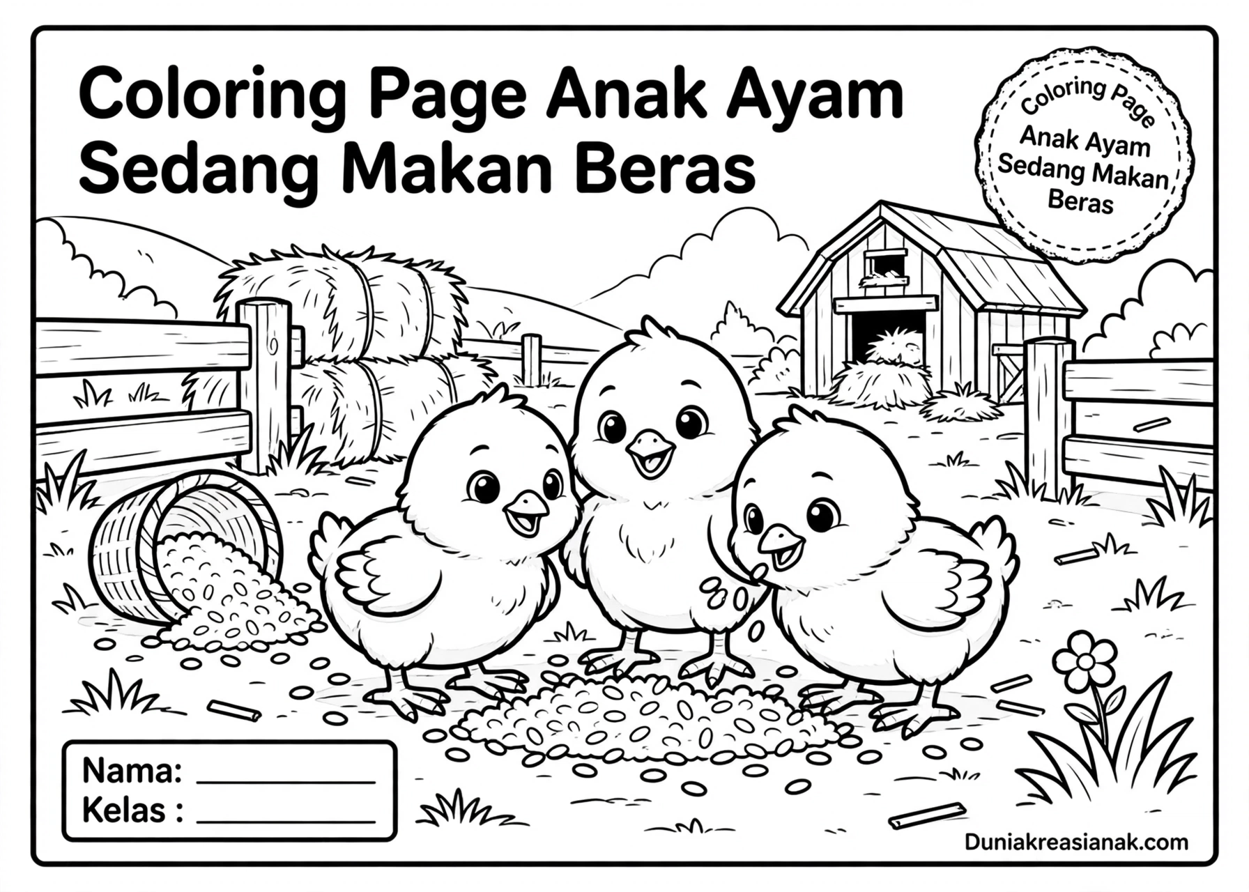 Coloring Page Anak Ayam Sedang Makan Beras 3 Coloring Page Anak Ayam Sedang Makan Beras 6Y