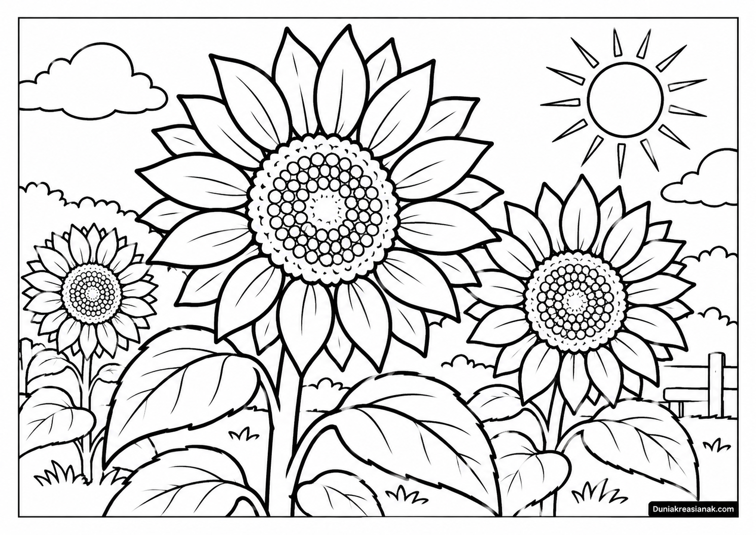 Coloring Page Bunga Matahari yang Sedang Mekar 3 Coloring Page Bunga Matahari