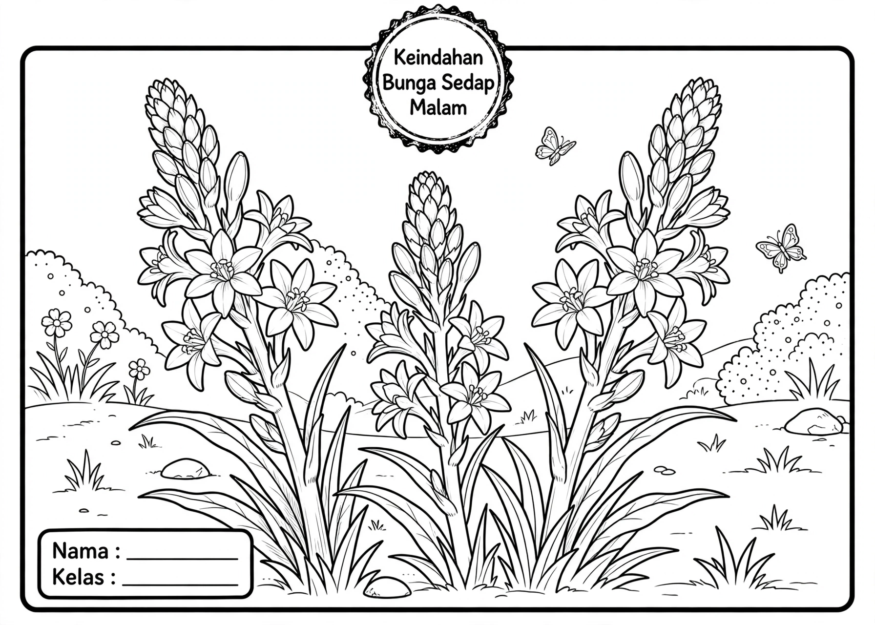 Coloring Page Bunga Sedap Malam