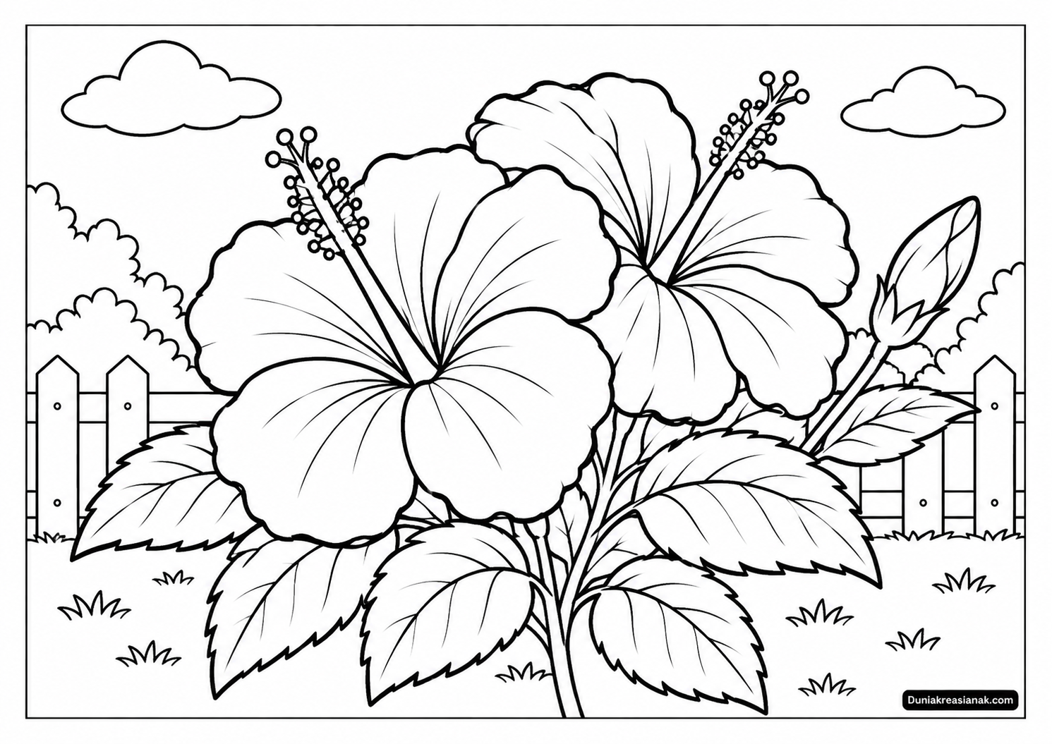 Coloring Page Bunga Sepatu yang Mekar