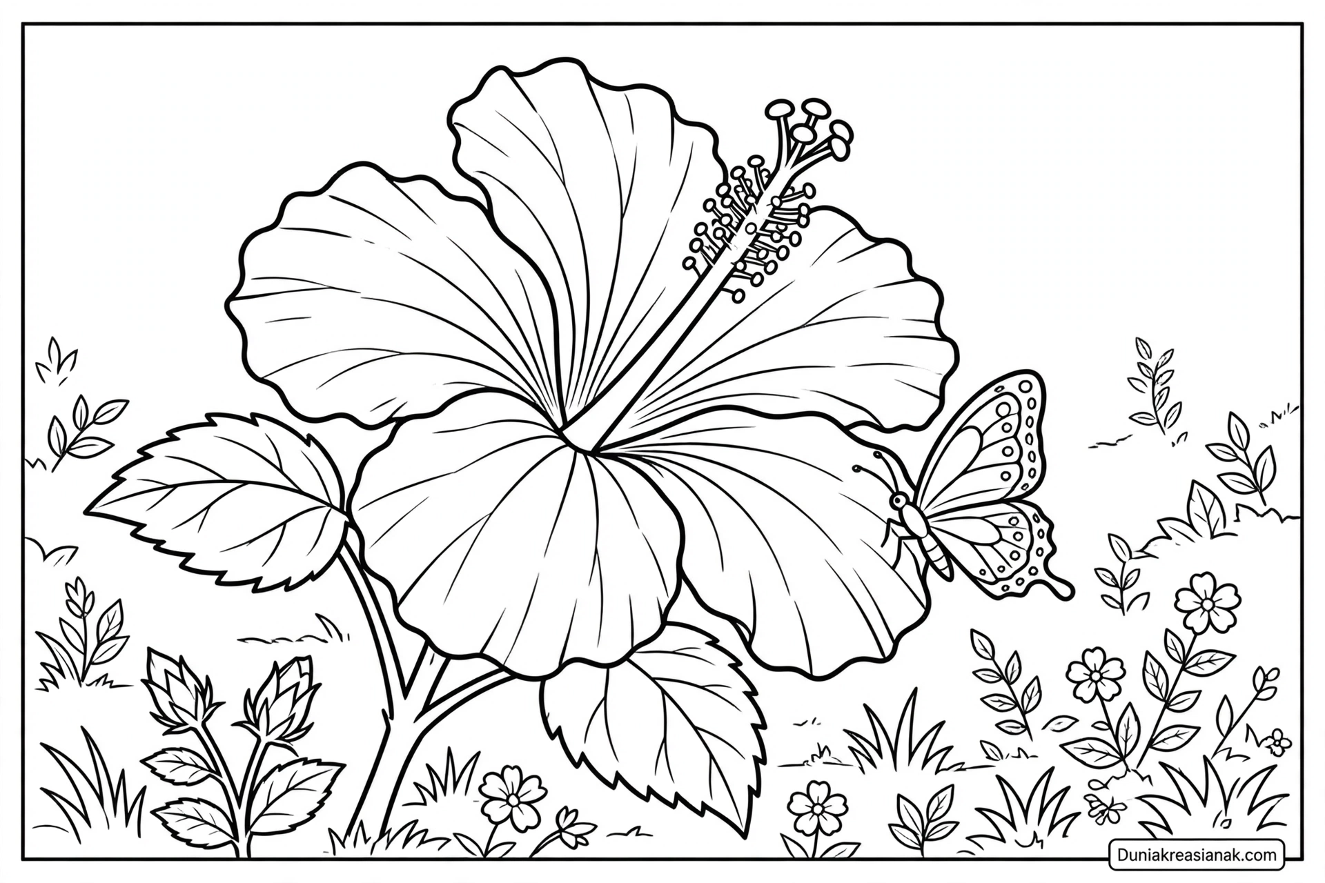 Coloring Page Bunga Sepatu yang Mekar