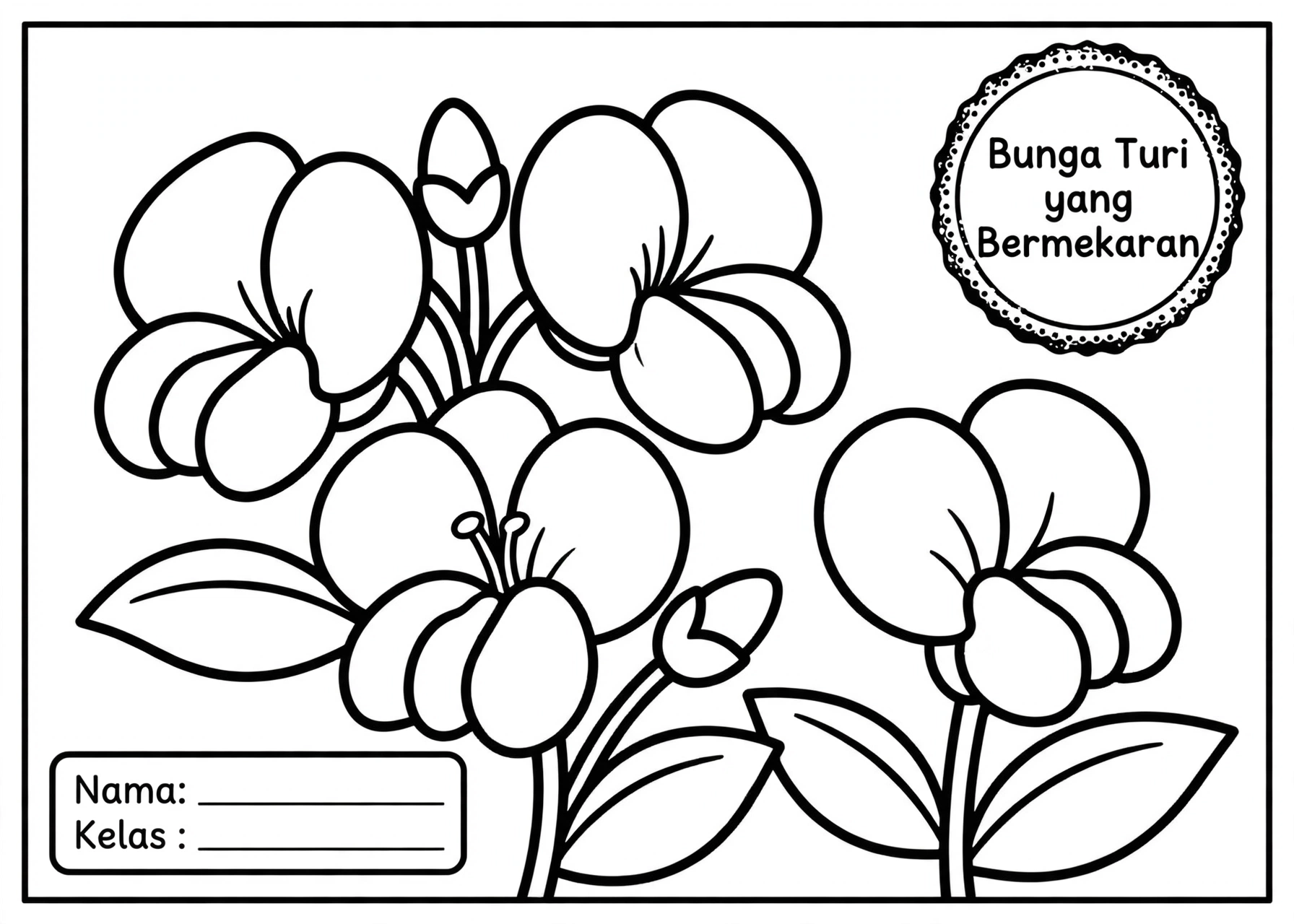 Coloring Page Bunga Turi yang Bermekaran 4Y