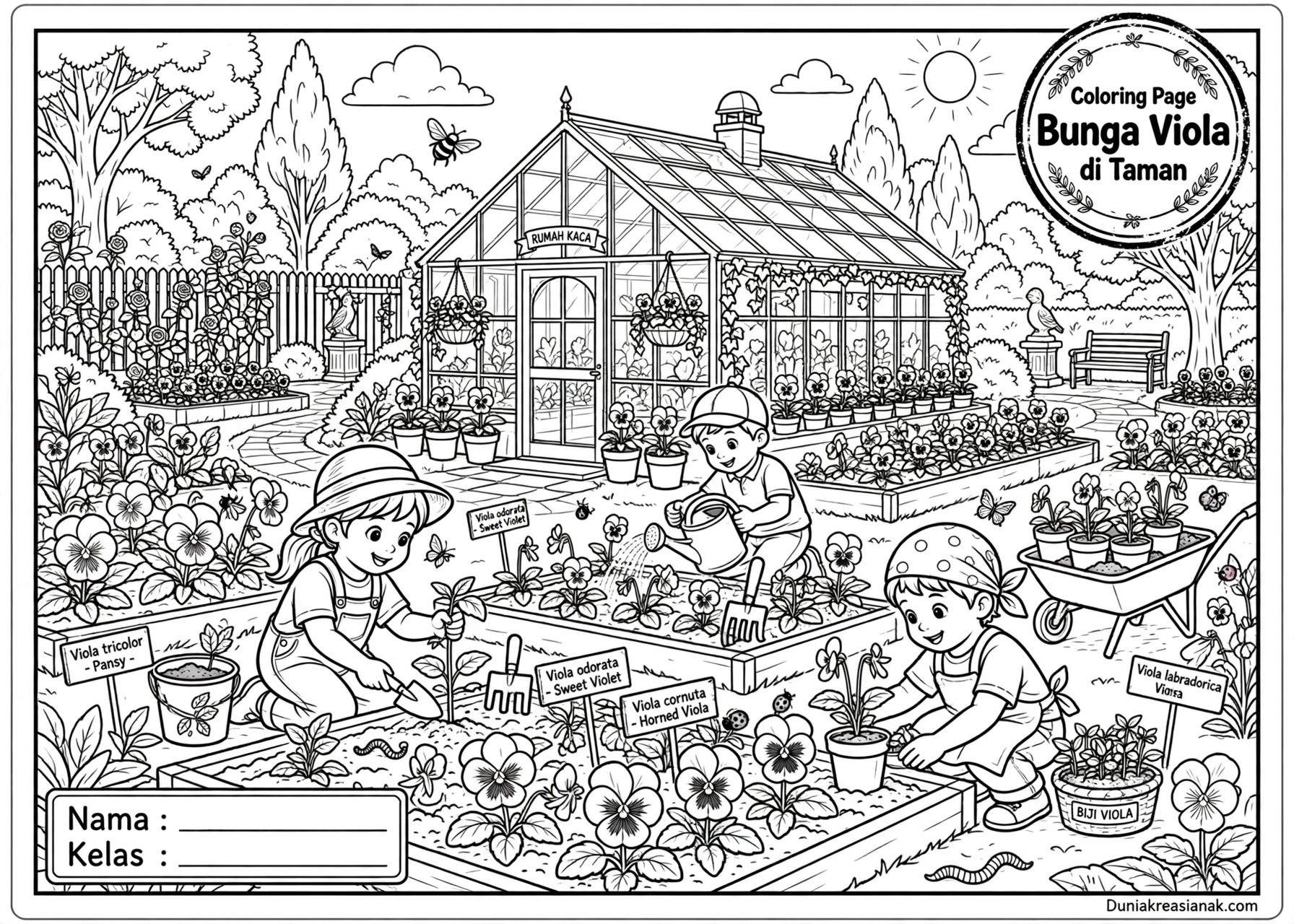 Coloring Page Bunga Viola di Taman 7Y