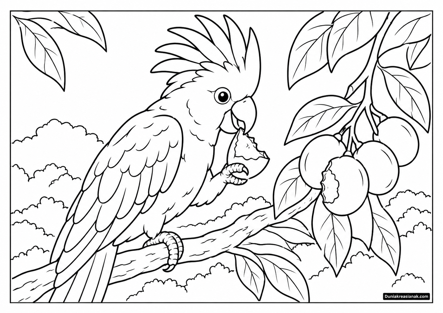Coloring Page Burung Kakatua Makan Buah 3 Coloring Page Burung Kakatua Makan Buah di Pohon