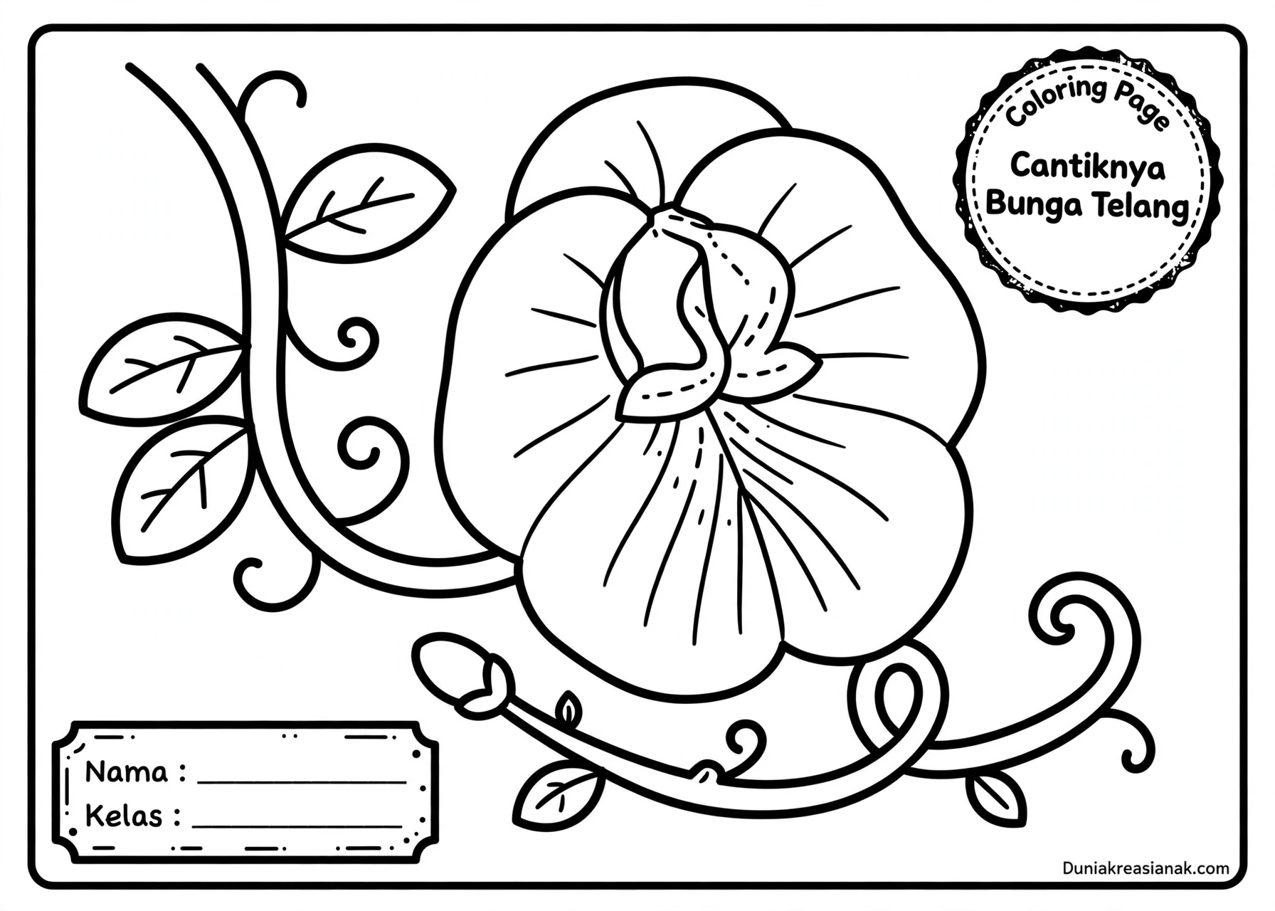 Coloring Page Cantiknya Bunga Telang 3 Coloring Page Cantiknya Bunga Telang PG