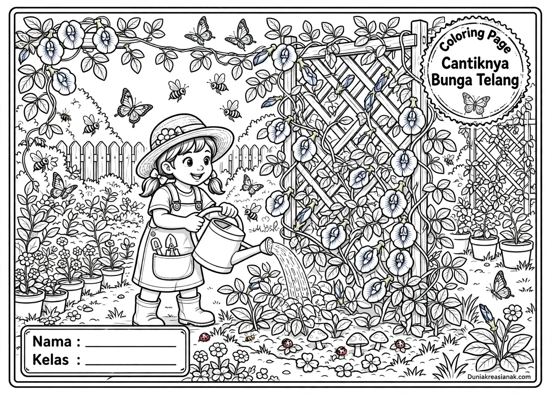 Coloring Page Cantiknya Bunga Telang 4 Coloring Page Cantiknya Bunga Telang SD