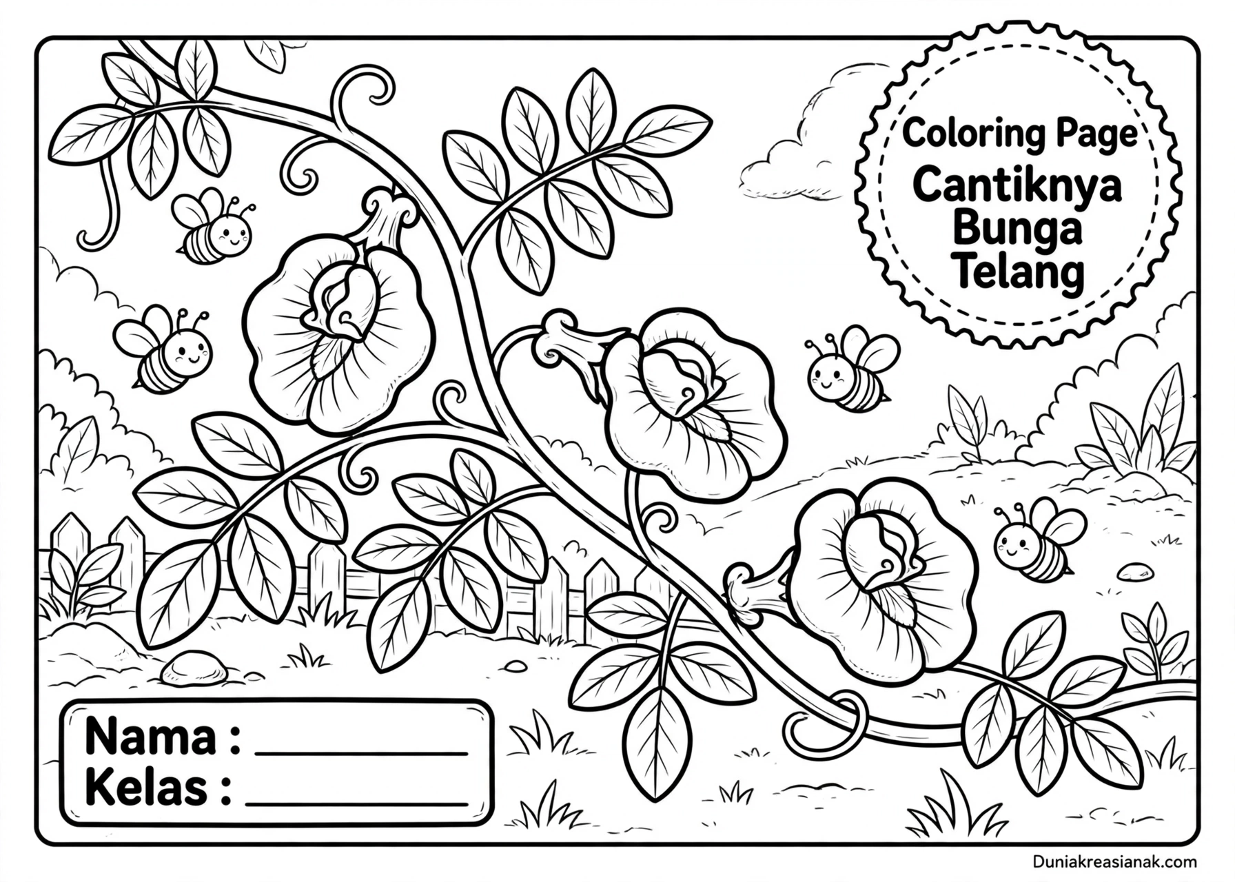 Coloring Page Cantiknya Bunga Telang TK