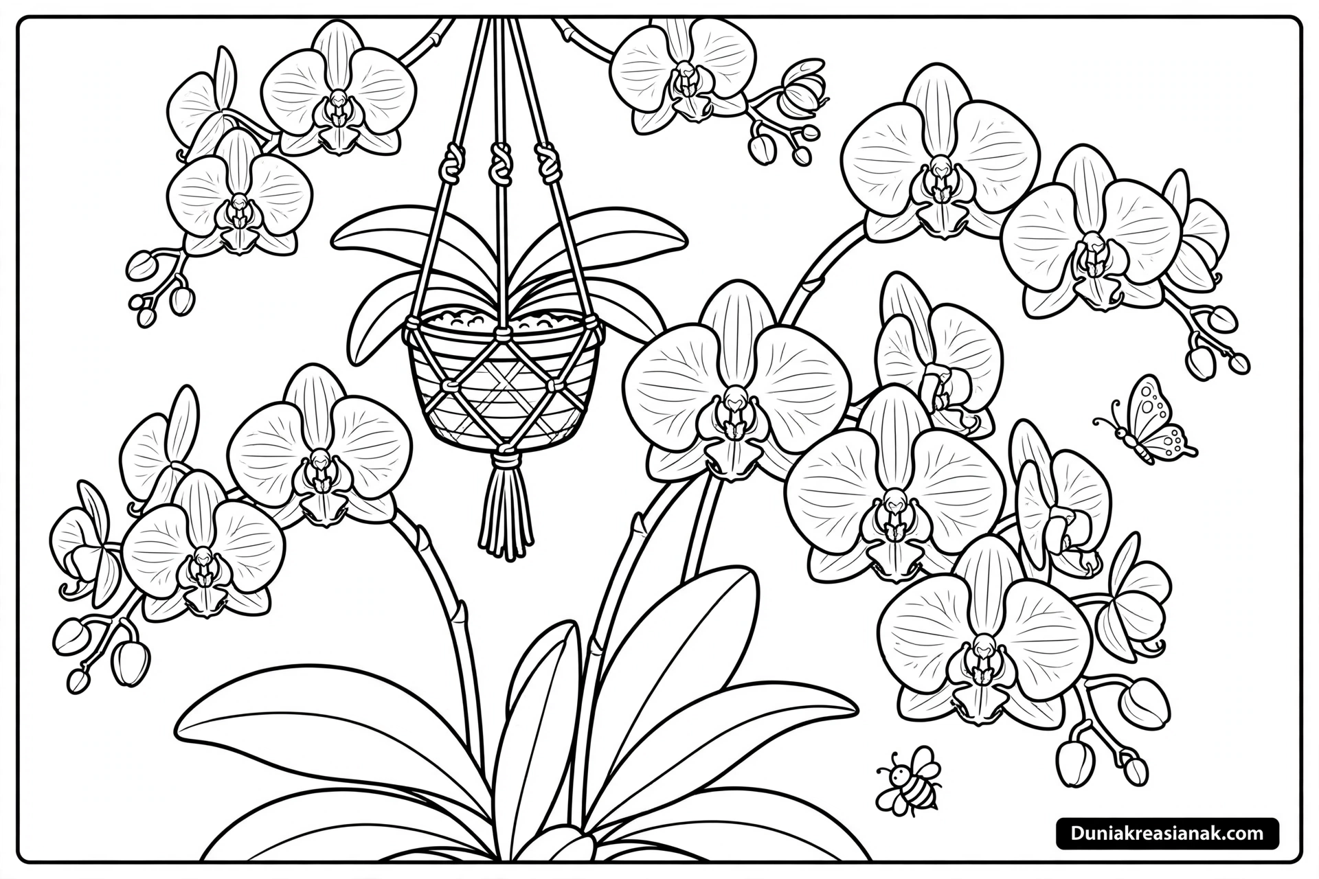 Coloring Page Keindahan Bunga Anggrek yang Menawan 3 Coloring Page Keindahan Bunga Anggrek