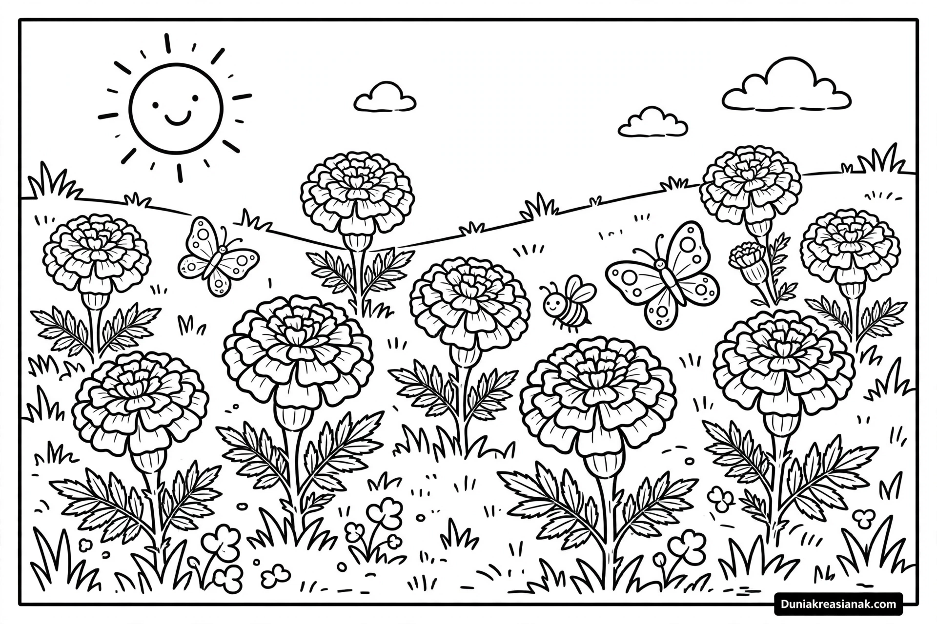 Coloring Page Keindahan Bunga Marigold yang Ceria