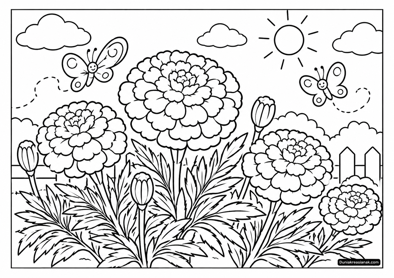 Coloring Page Keindahan Bunga Marigold
