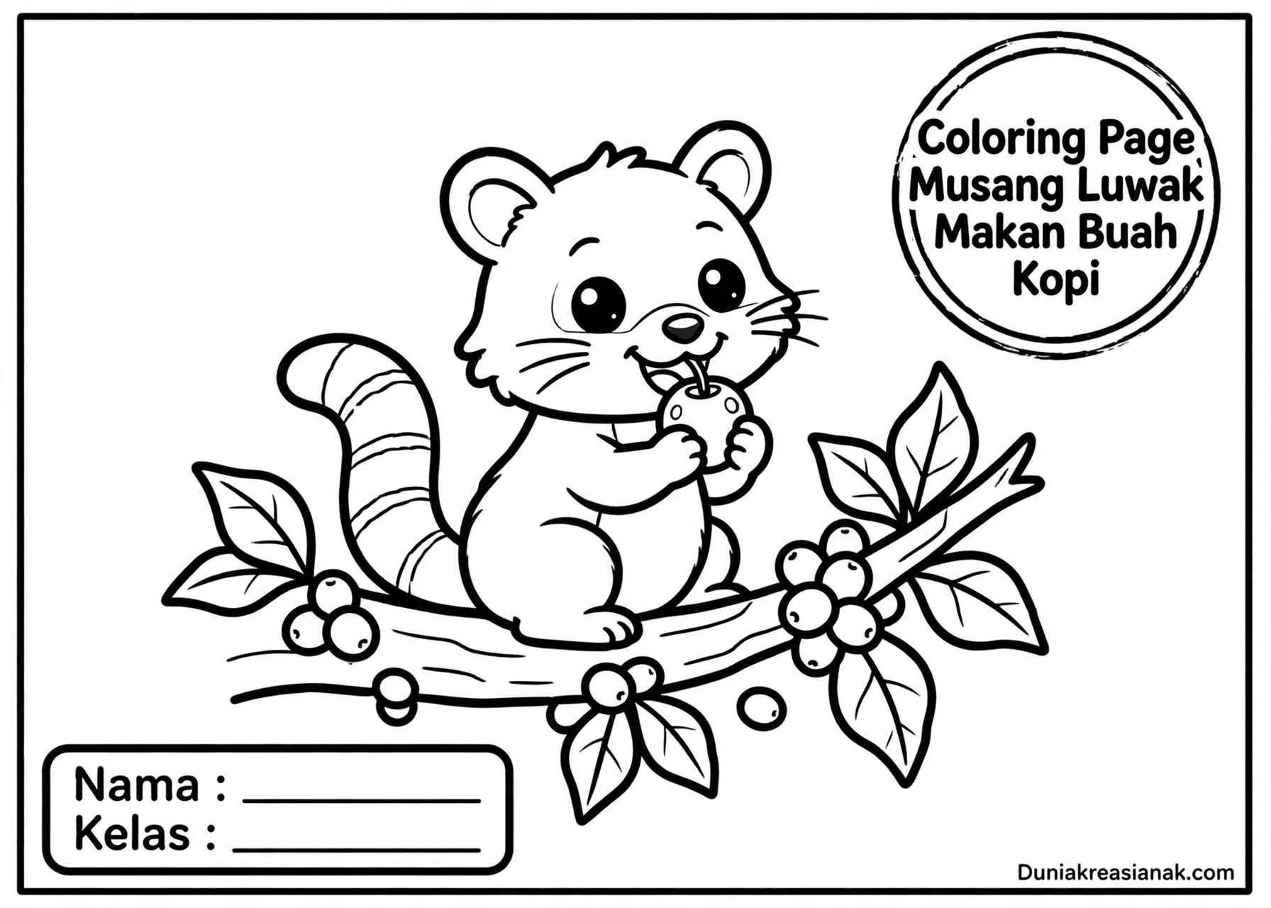 Coloring Page Musang Luwak Makan Buah Kopi 5Y