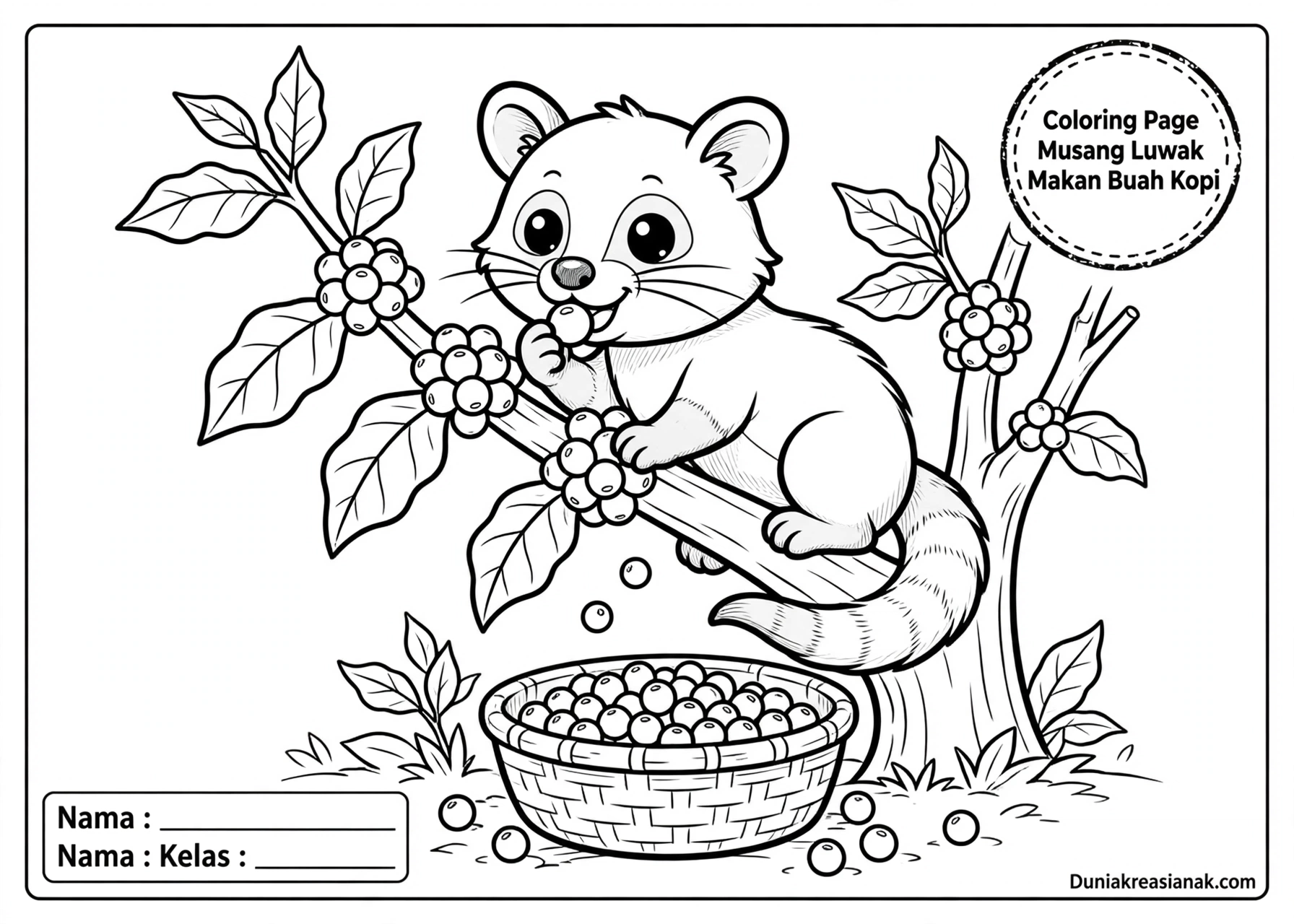 Coloring Page Musang Luwak Makan Buah Kopi 6Y