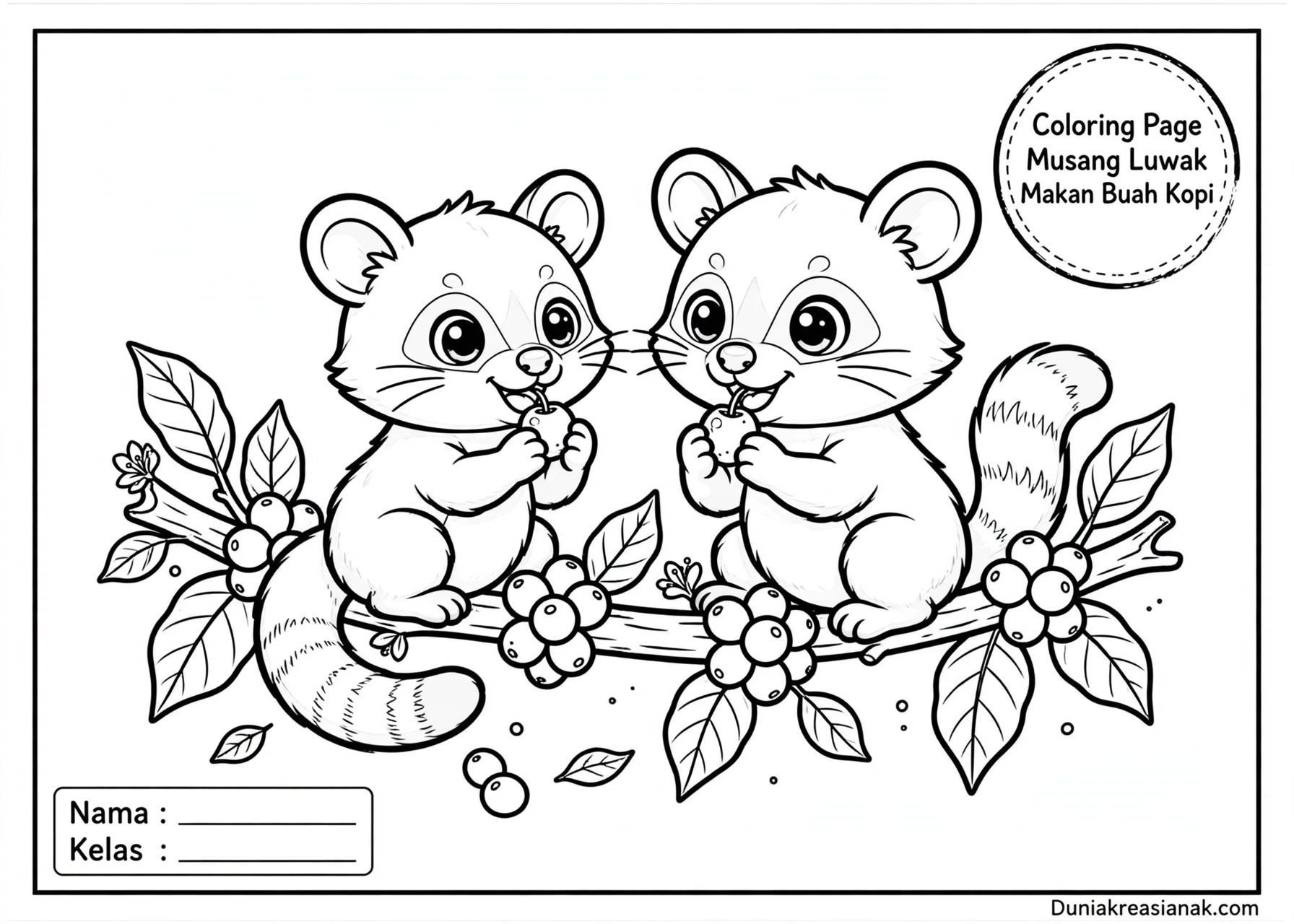 Coloring Page Musang Luwak Makan Buah Kopi 7Y