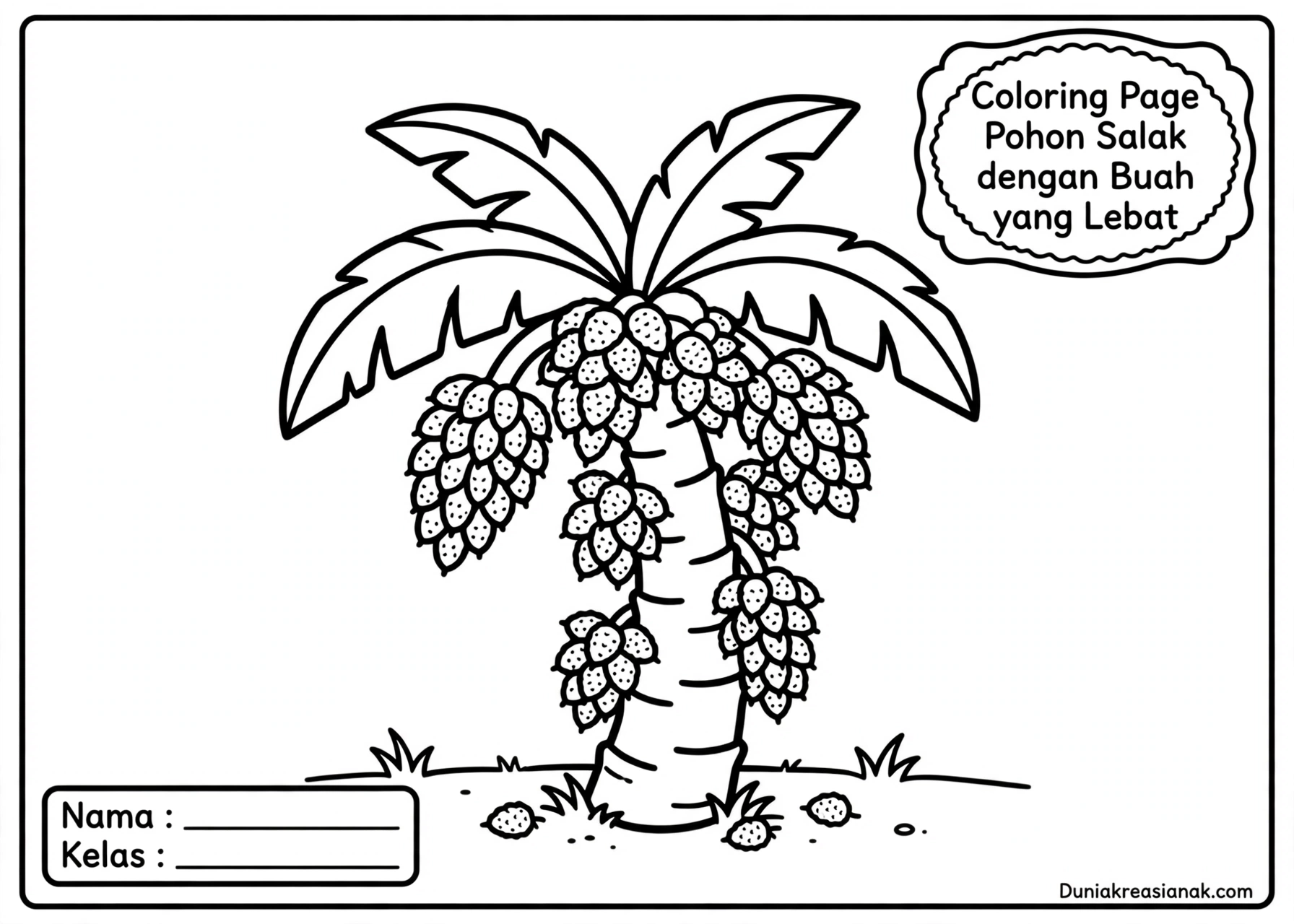 Coloring Page Pohon Salak dengan Buah yang Lebat 5Y