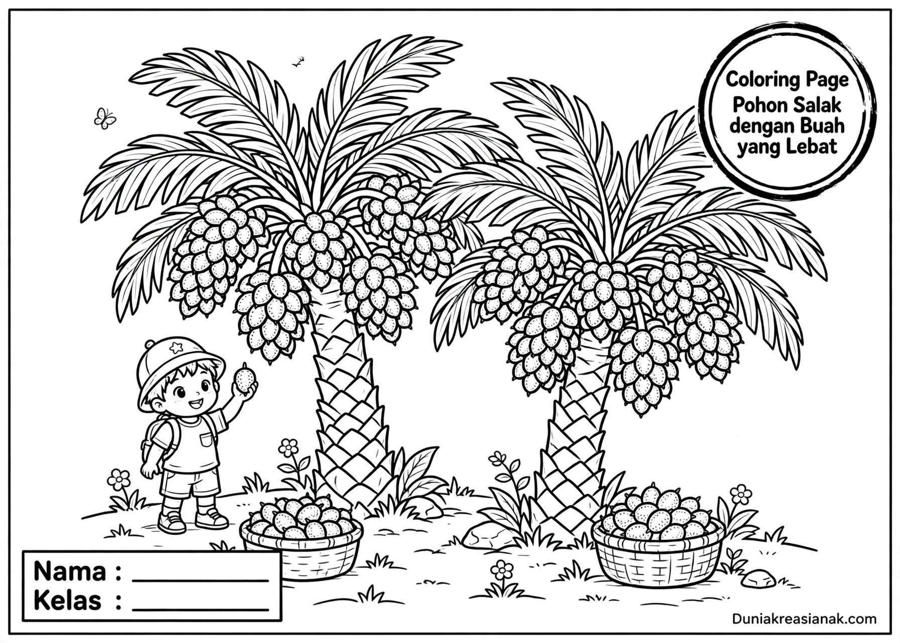 Coloring Page Pohon Salak dengan Buah yang Lebat 3 Coloring Page Pohon Salak dengan Buah yang Lebat 6 Y