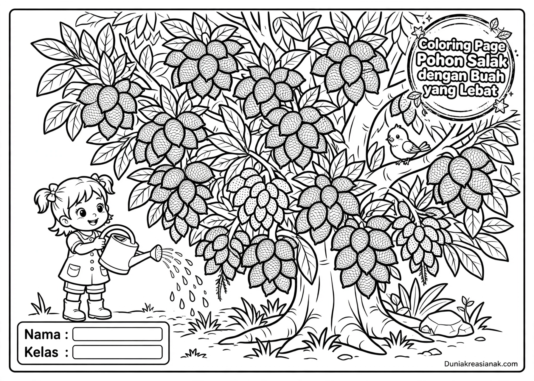 Coloring Page Pohon Salak dengan Buah yang Lebat 4 Coloring Page Pohon Salak dengan Buah yang Lebat 7Y