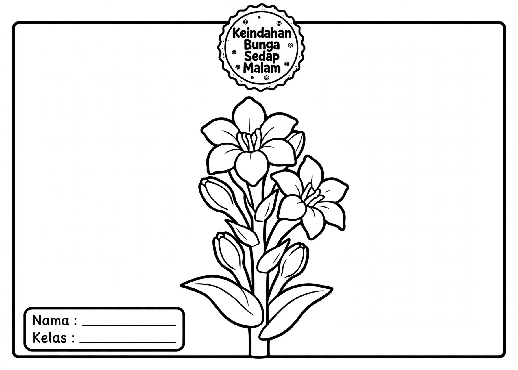 Coloring Page Sedap Malam