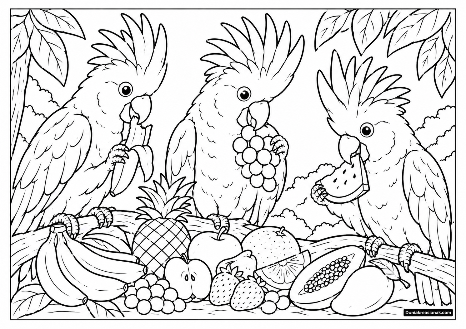 Coloring Page Burung Kakatua Makan Buah 4 Coloring Page Tiga Burung Kakatua Makan Buah