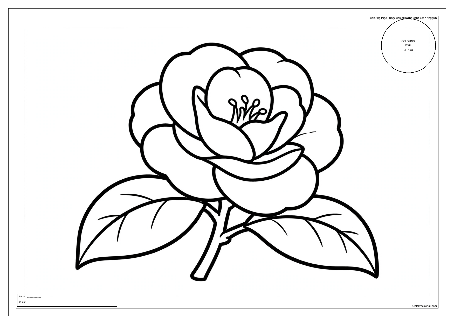 coloring page bunga camelia yang cantik dan anggun mudah