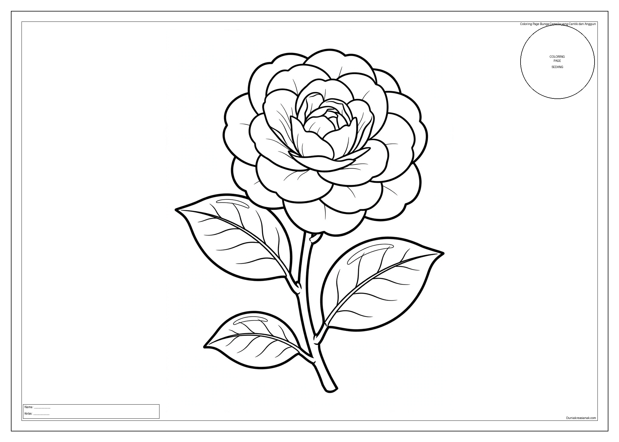 coloring page bunga camelia yang cantik dan anggun sedang