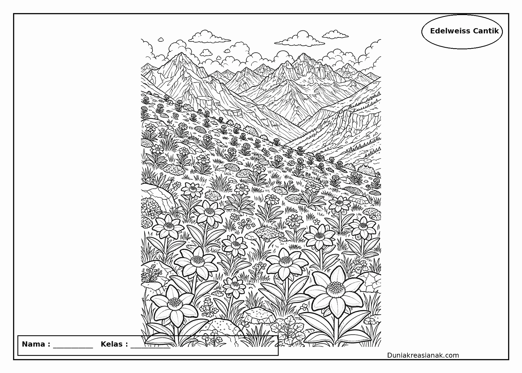 coloring page bunga edelweiss yang cantik di pegunungan level menengah