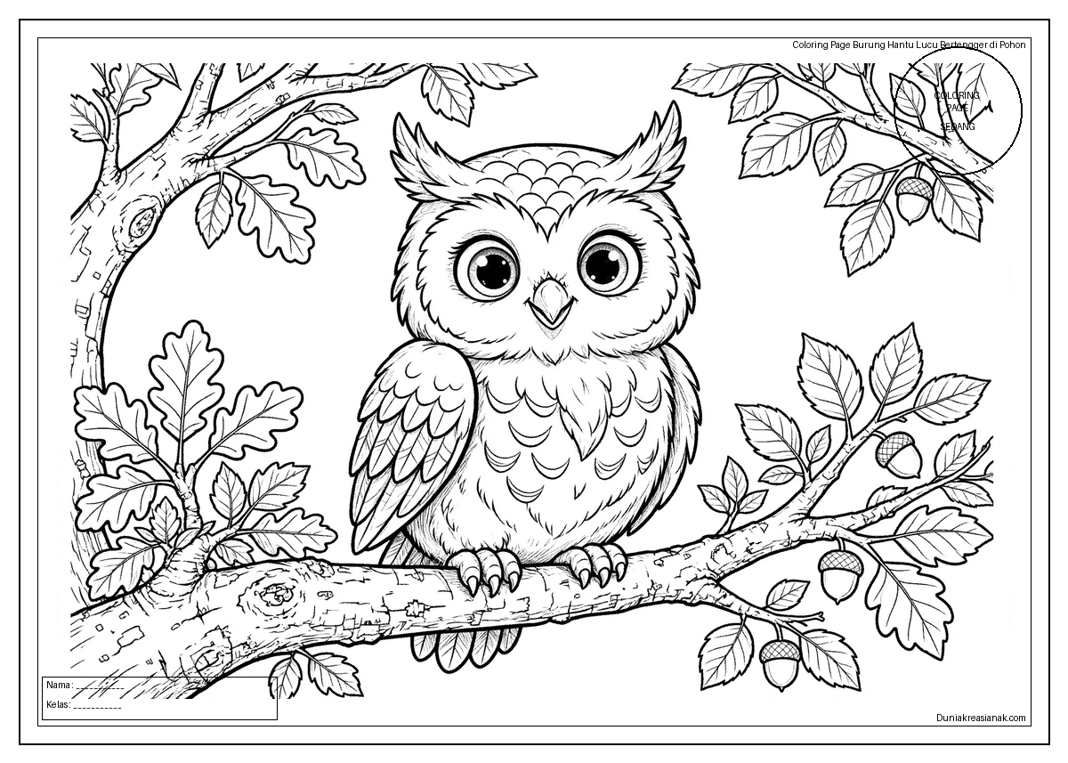coloring page burung hantu lucu bertengger di pohon sedang 1