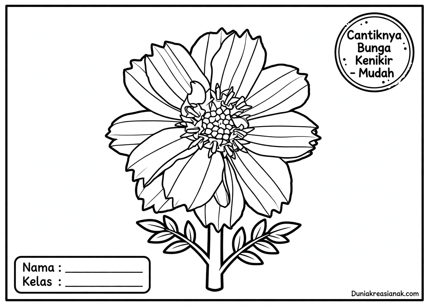 coloring page cantiknya bunga kenikir mudah