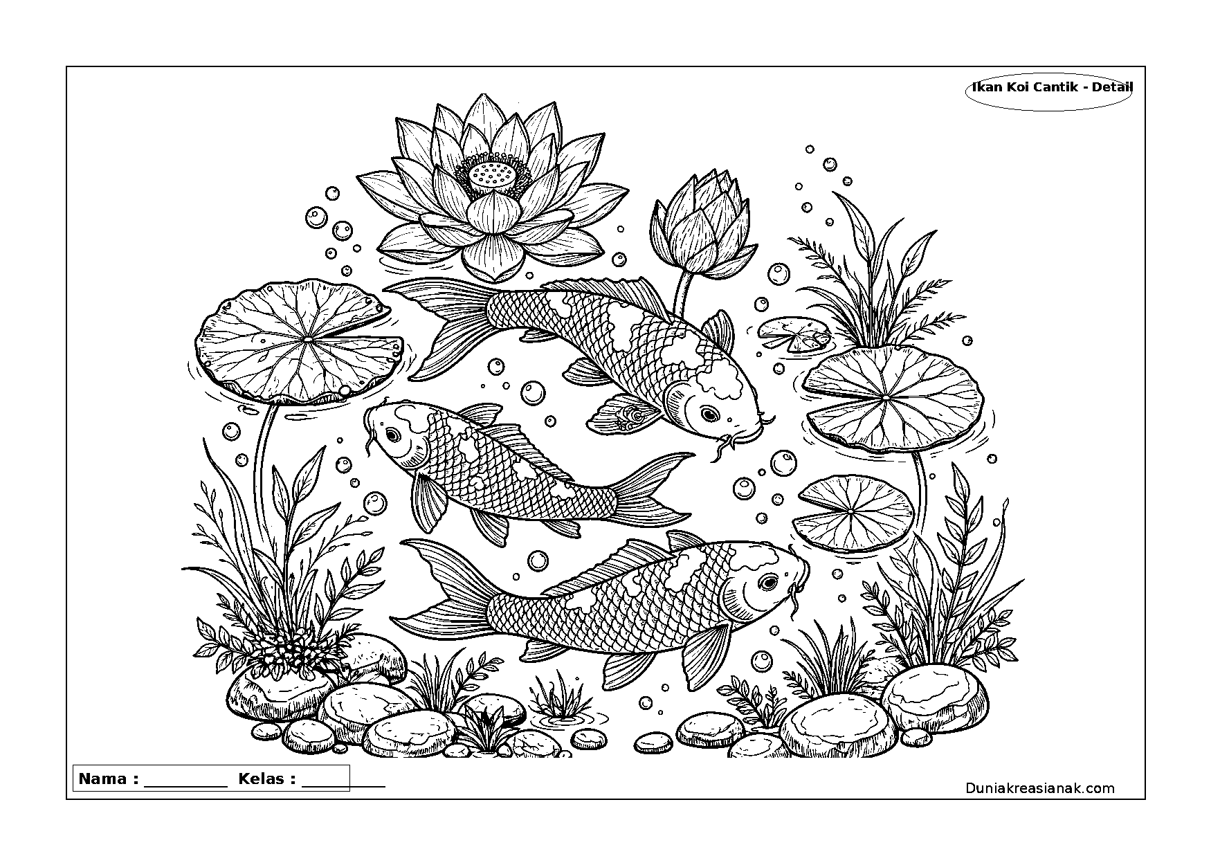 coloring page ikan koi cantik di kolam detail