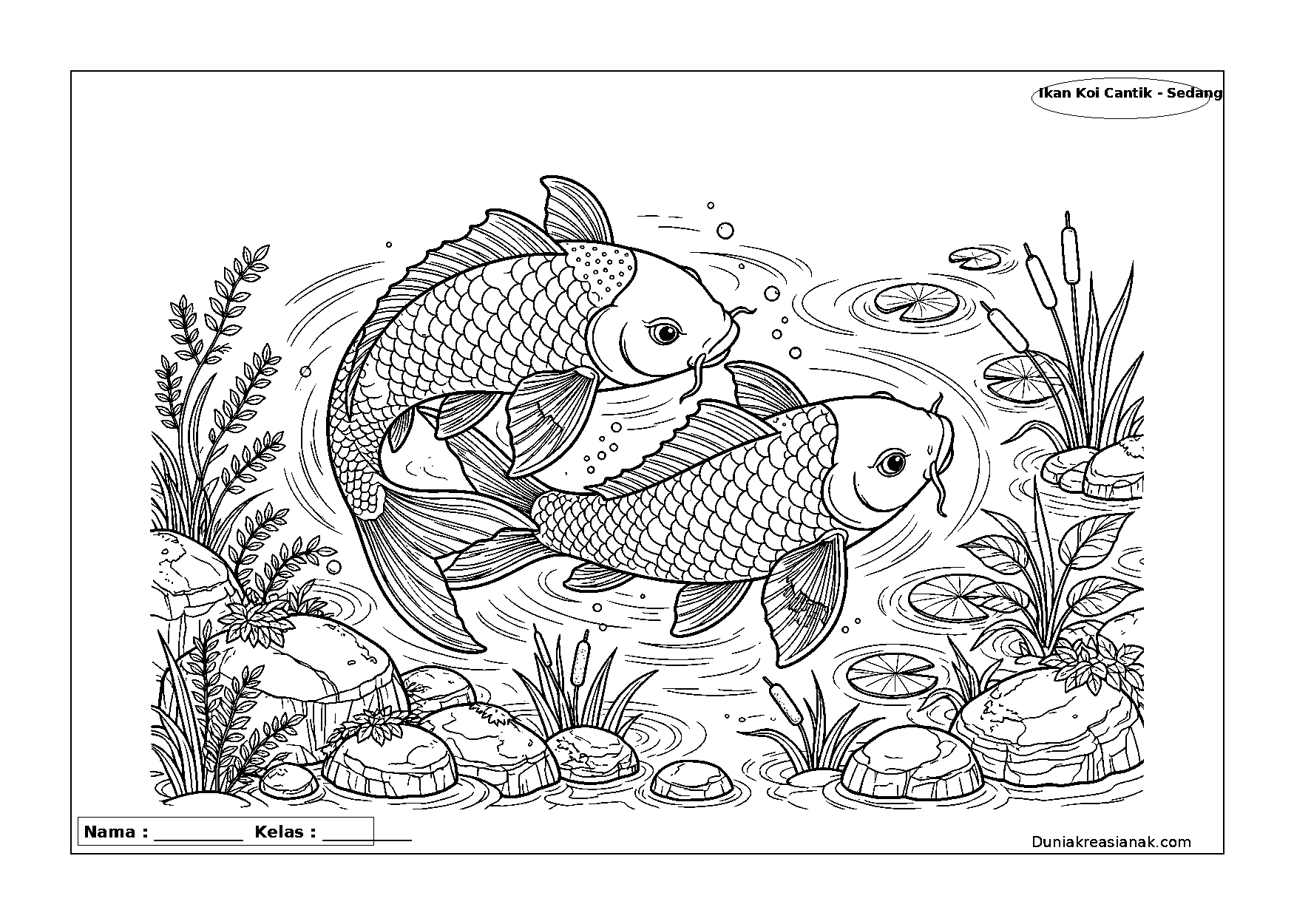 coloring page ikan koi cantik di kolam sedang