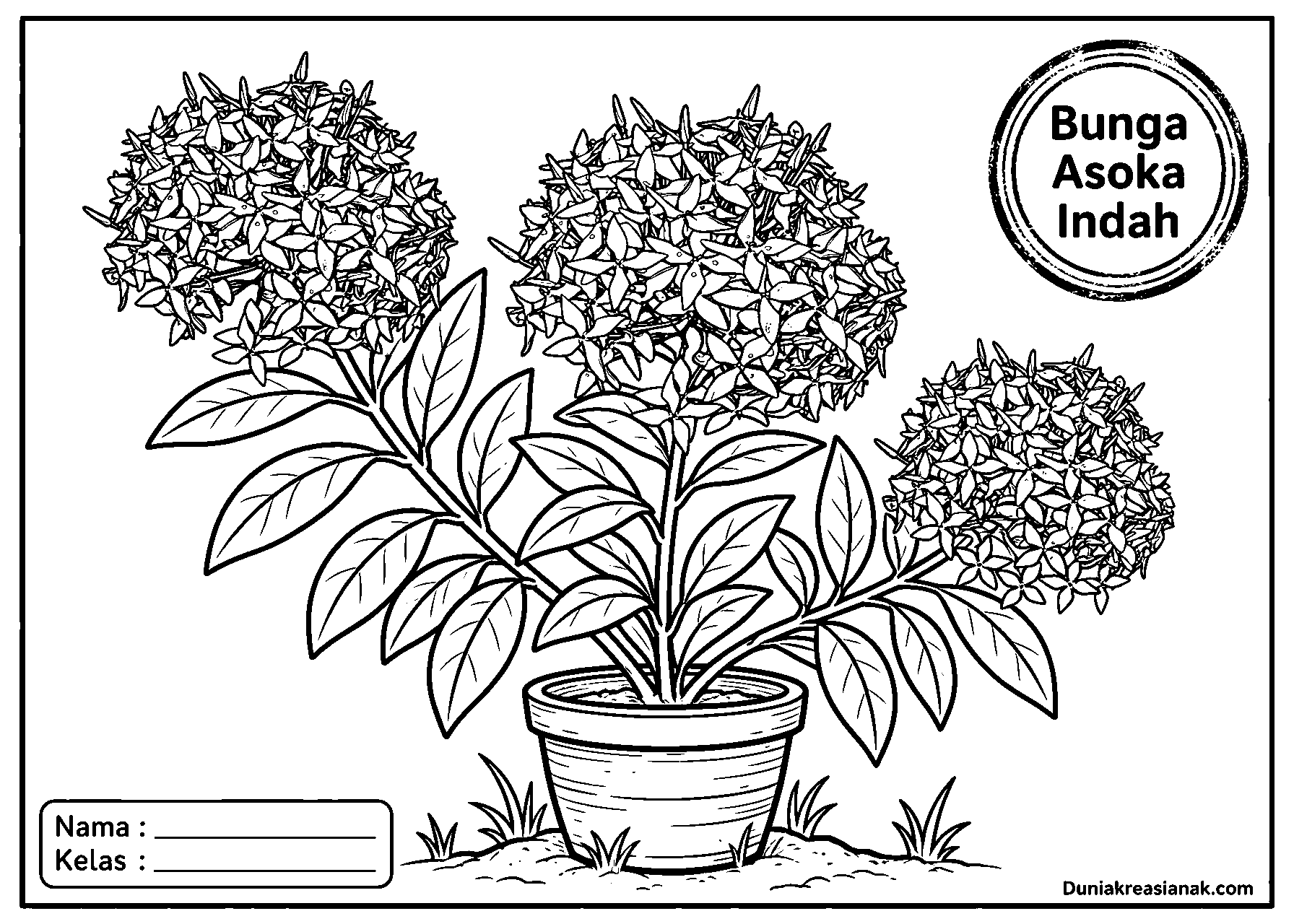 coloring page keindahan bunga asoka detail