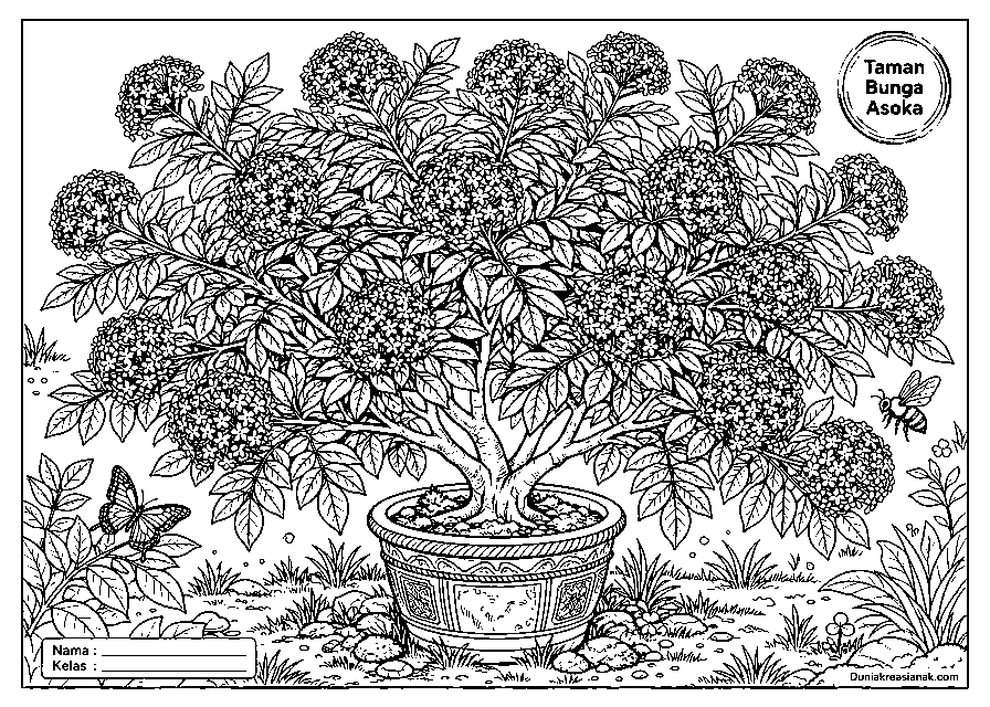 coloring page keindahan bunga asoka mudah