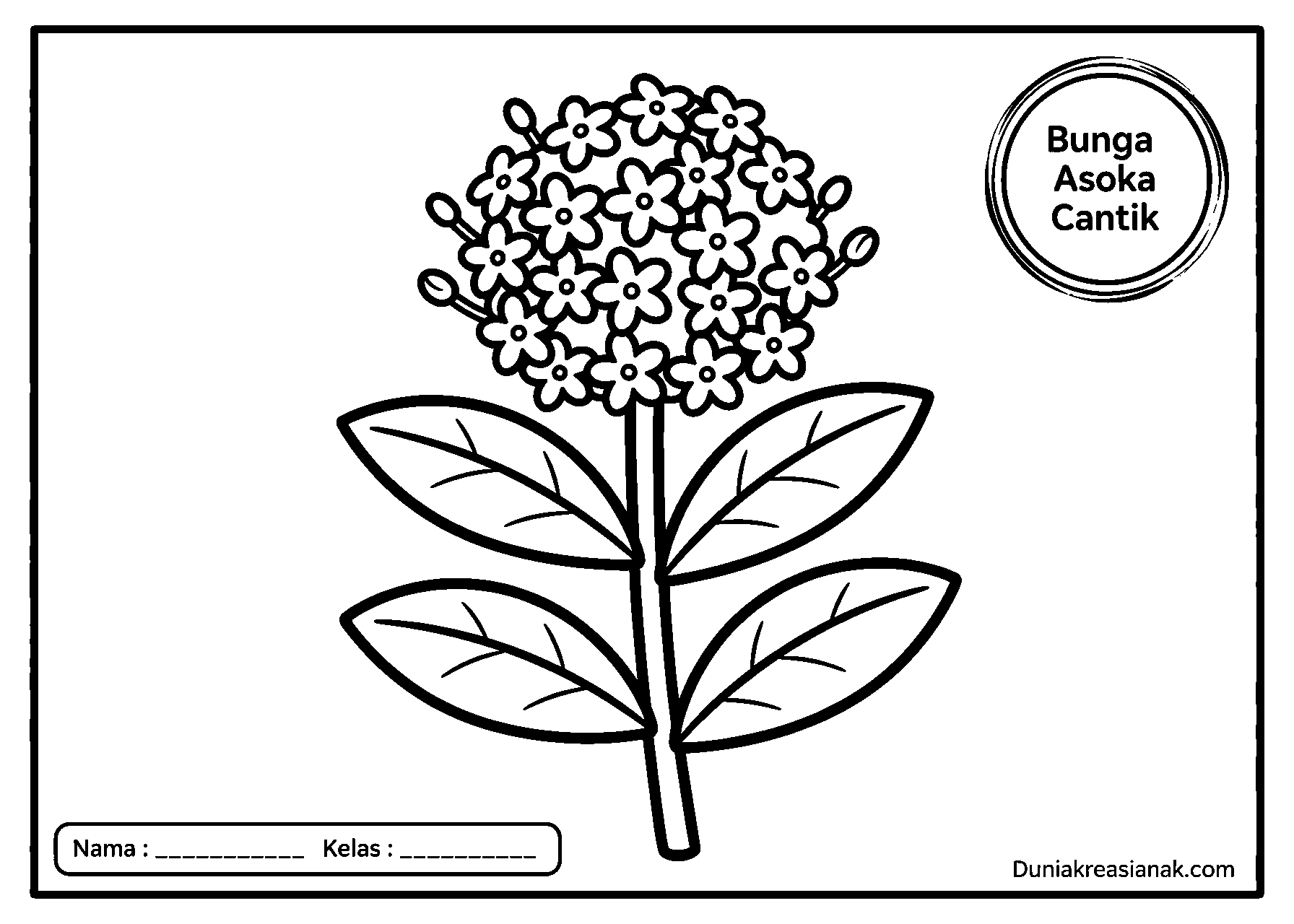 coloring page keindahan bunga asoka sedang